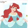 Ariel Fancy Dress 8