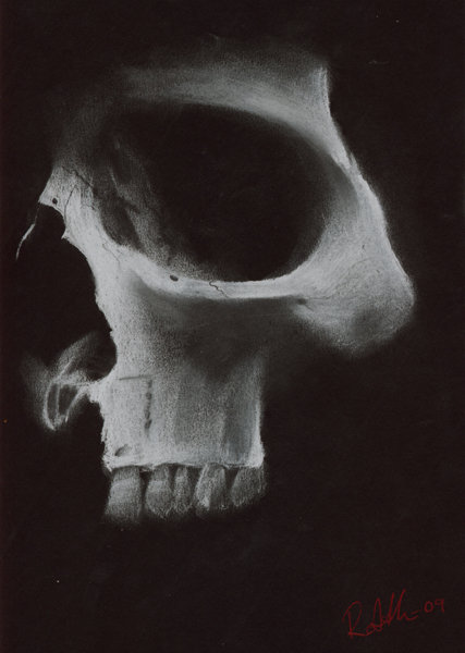 skull