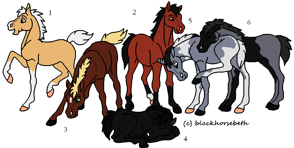 Random Foals