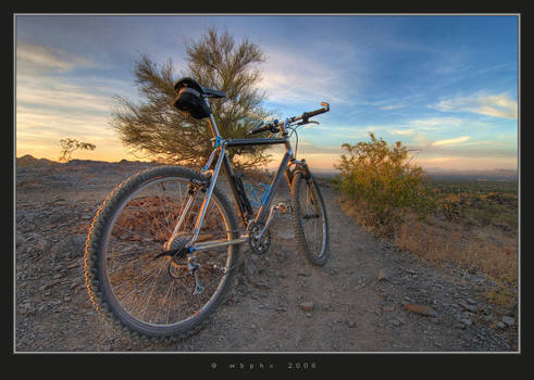 Mountain Biking