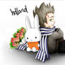 APH Holland chibi