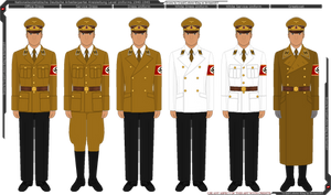 NSDAP Kreisleitung Uniforms 1940-1945