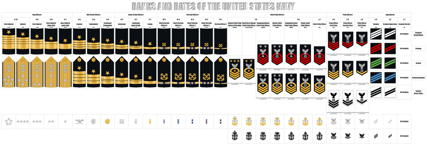 All Usn Engineering Rates Seal Navy Ranks at Eunice King blog
