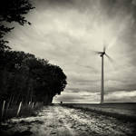 Eoliennes study IX by ThierryV