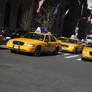 Yellow Taxis