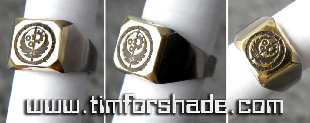 Brotherhood of Steel Ring Fallout ring by TimforShade on DeviantArt