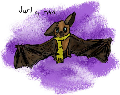 Colored Cour Bat