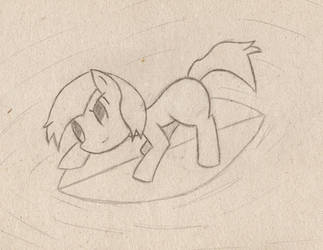 Pony on a surfboard (NATG IV - 4)