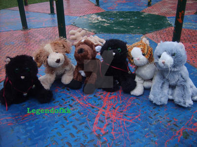 webkinz