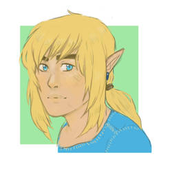 Link Breath of the Wild