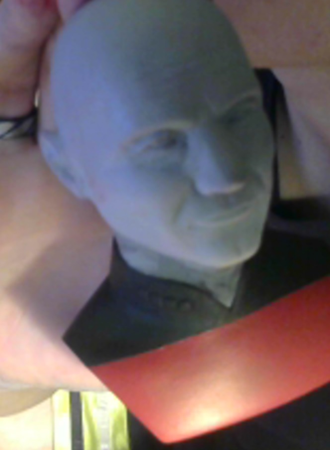 Picard 3D print WIP