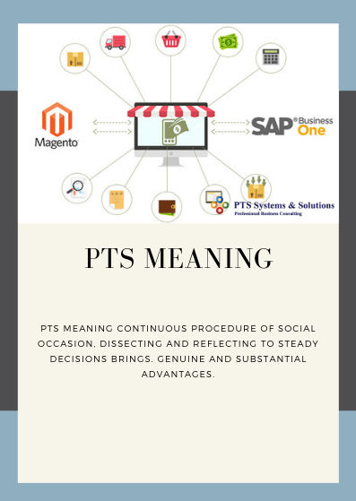 Pts Meaning Rp PTS Meaning by ptssystem on DeviantArt