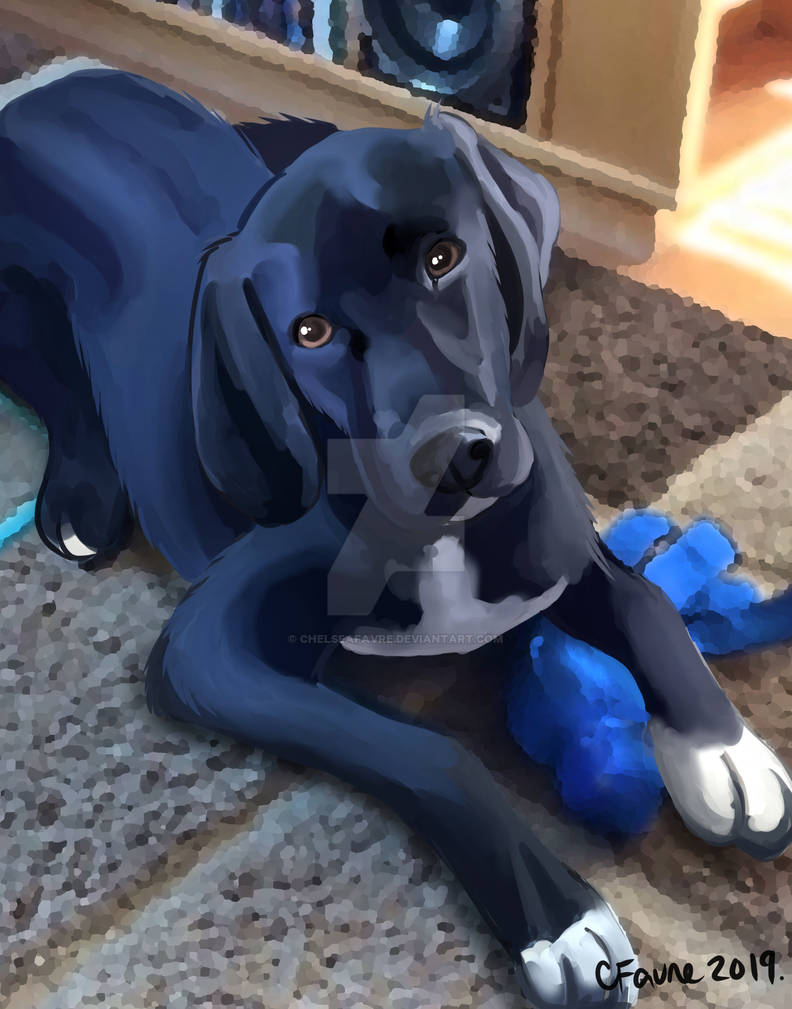 Commission: A Pup named Riley by ChelseaFavre on DeviantArt