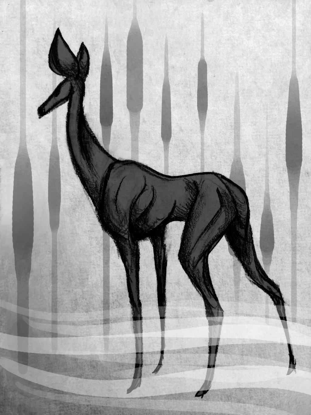 Deer Sketch