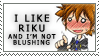 I Like Riku Stamp