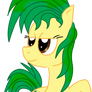 Pony OC Draft - PineApple