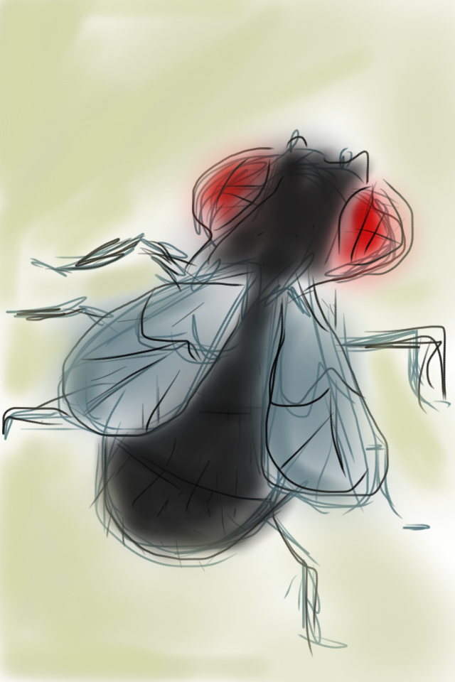 Flying Insect Persective Drawing FLYING INSECT by ytrewq67 on DeviantArt