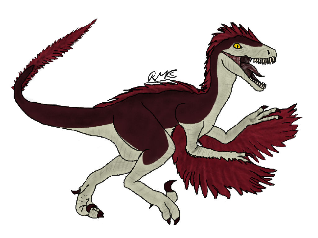 Novora Raptor novaraptor by RMcCDraws on DeviantArt