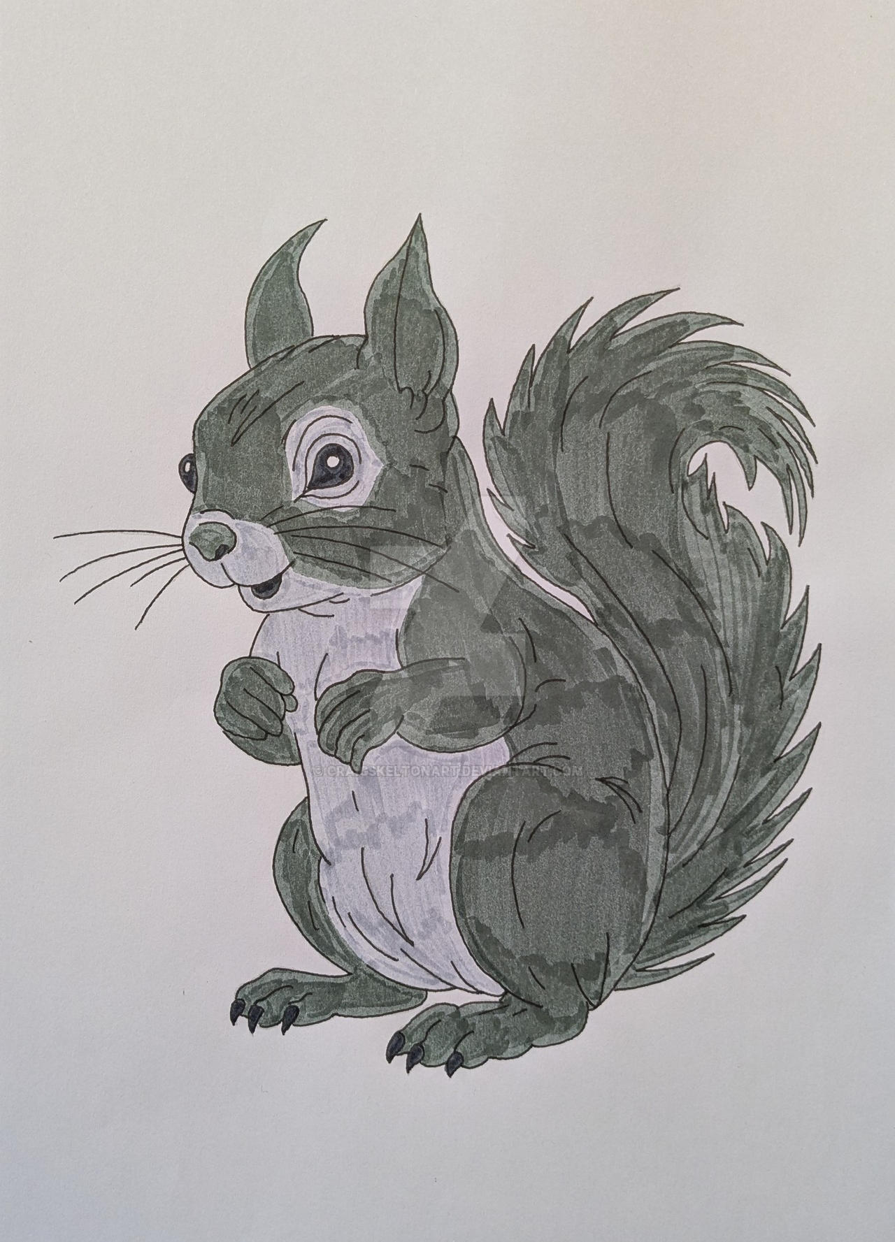 Squirrel Deviantart Squirrel by CraigSkeltonArt on DeviantArt