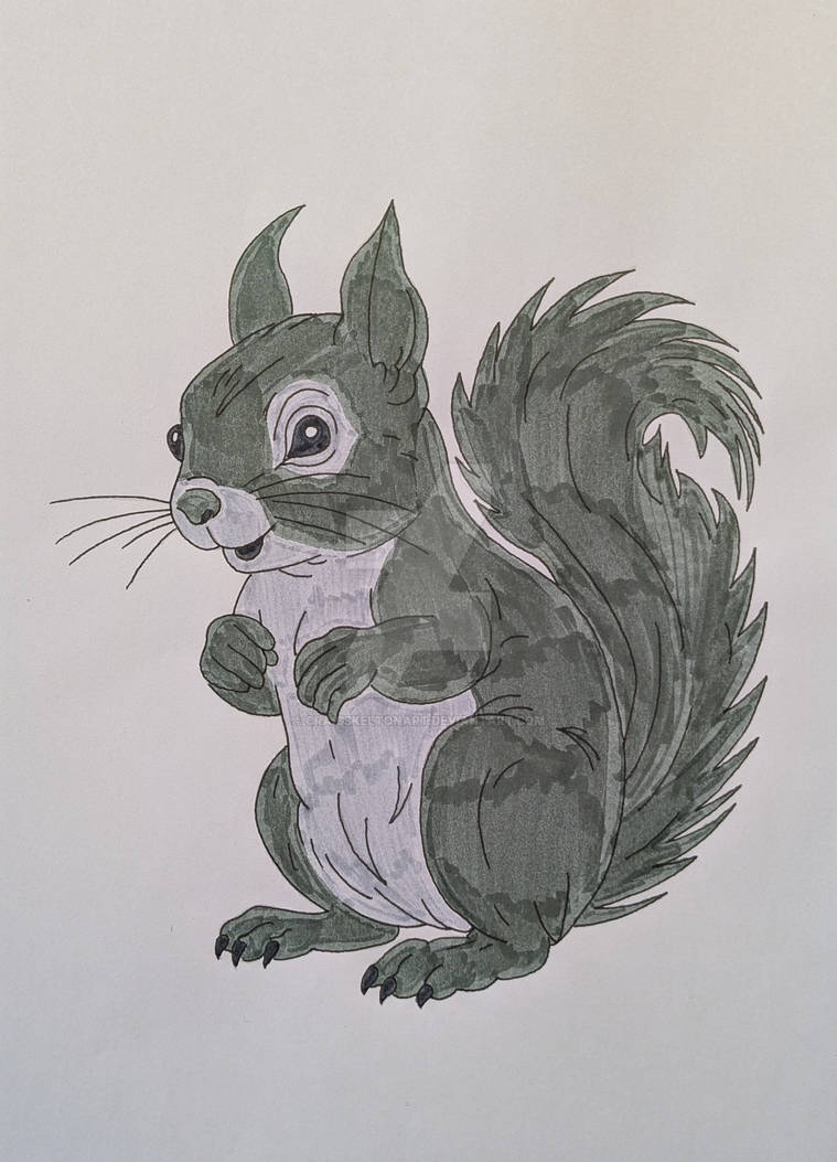 Deviantart Risumon Squirrel Squirrel by CraigSkeltonArt on DeviantArt