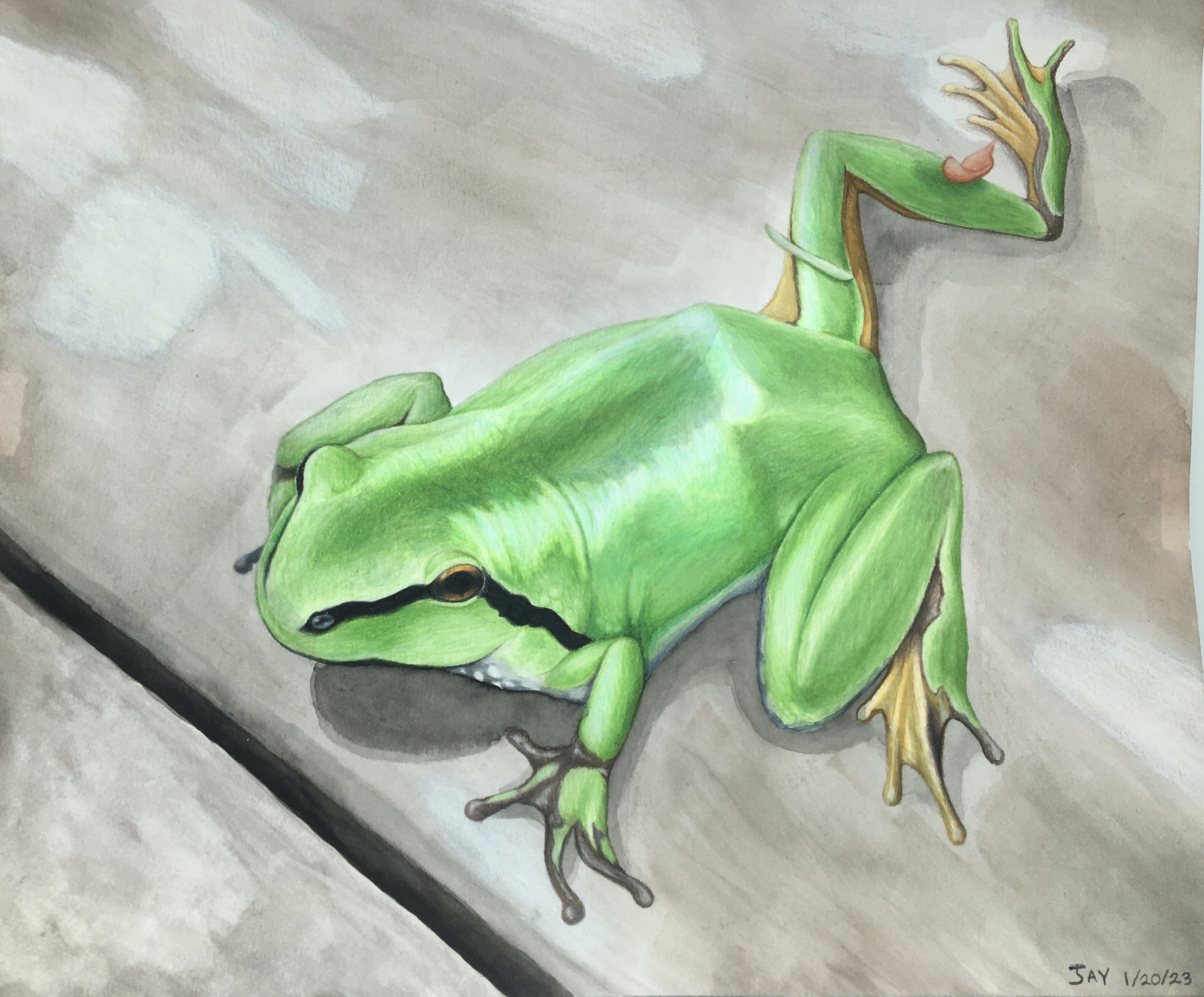 Splat by thejumpingspider on DeviantArt