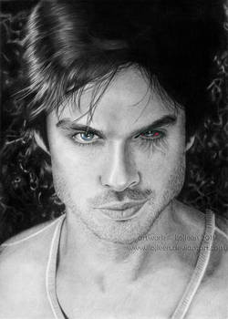 Ian Somerhalder as Damon