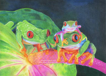 Frogs drawing by Ilojleen