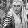 Thranduil the Elvenking (Lee Pace)