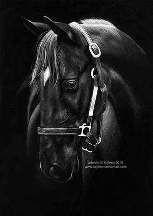 Horse drawing by Ilojleen