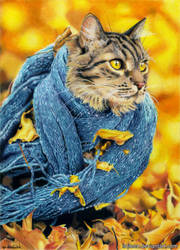 Kitty in a scarf