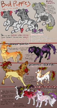 BUP/ BUD PUPPY: Open Species (PLEASE READ)