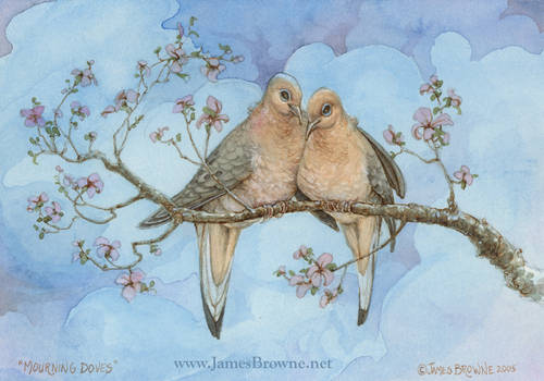 Mourning Doves