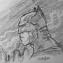 Batman Profile