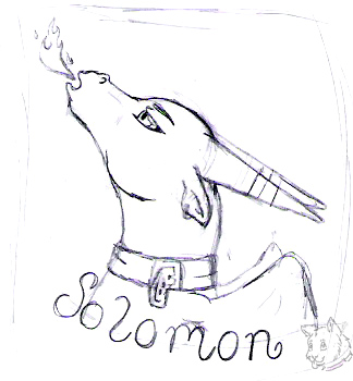 solomon badge sketch