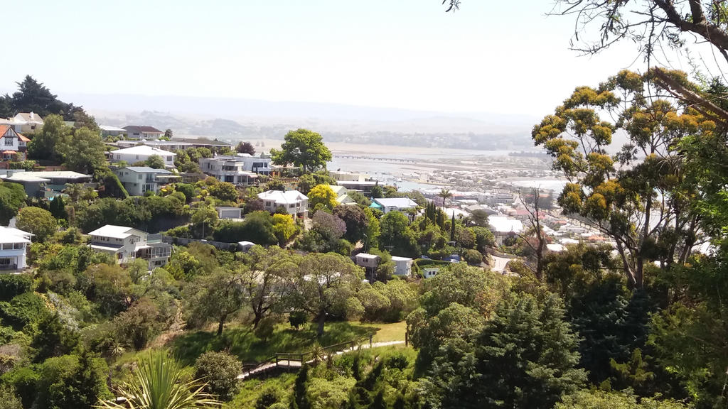 Bluff view of Napier