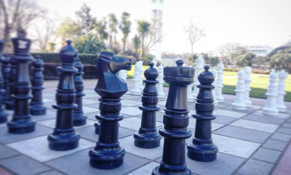 Chess anyone?