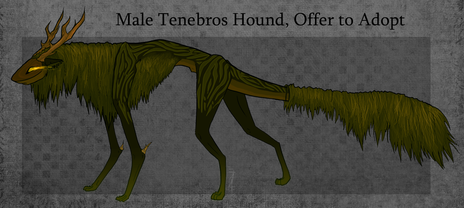 O.T.A - Male Tenebros Hound (Closed)