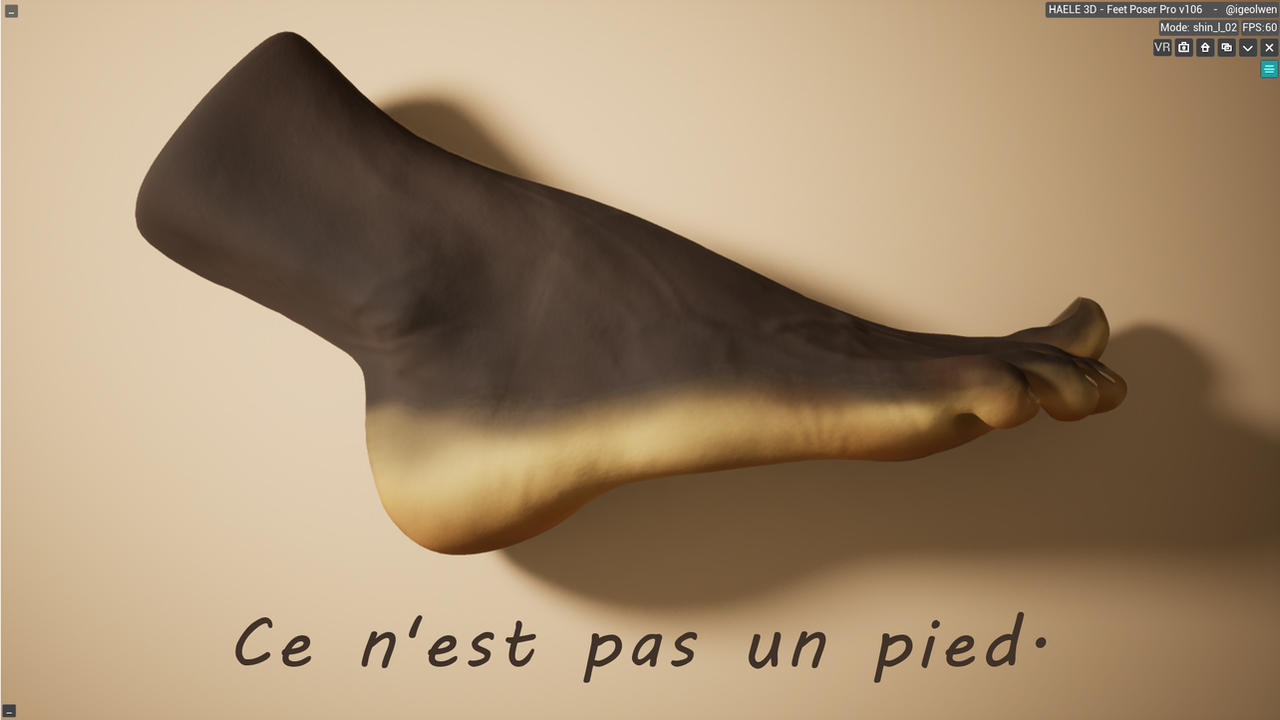 This is Not a Foot