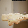 Feet Posing in HAELE 3D
