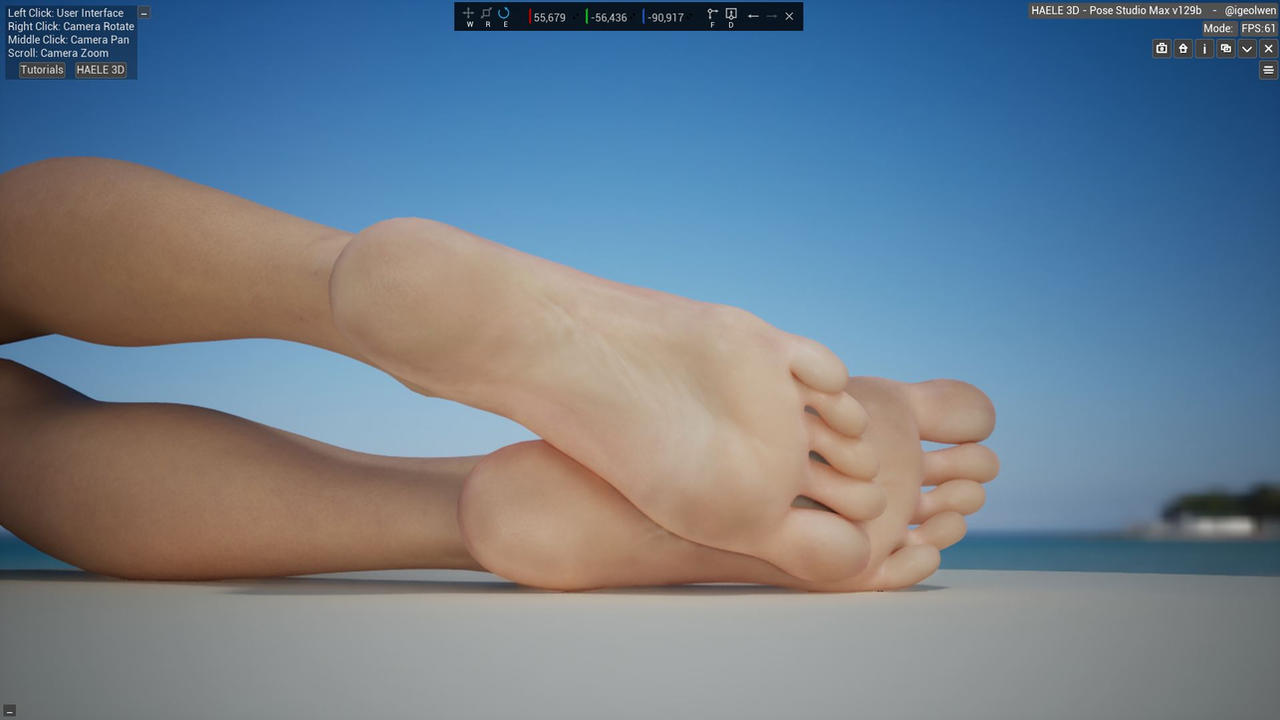 Soles In The Blue