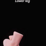 Lower leg morphing in HAELE 3D - Feet Poses Pro