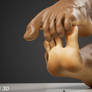 Stretching the sole and toes