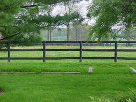Paddock