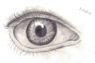 Eye Drawing