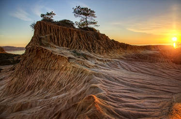 Torrey Pines