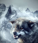 The Wolf by Eternal-Dream-Art