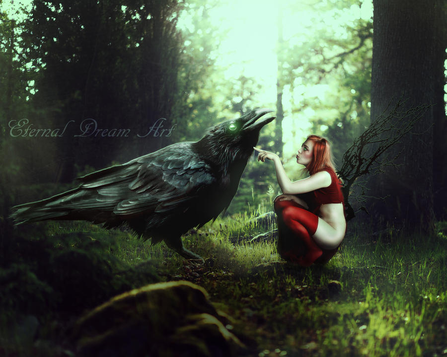Faerie And Crow by Eternal-Dream-Art Faerie And Crow by Eternal-Dream-Art