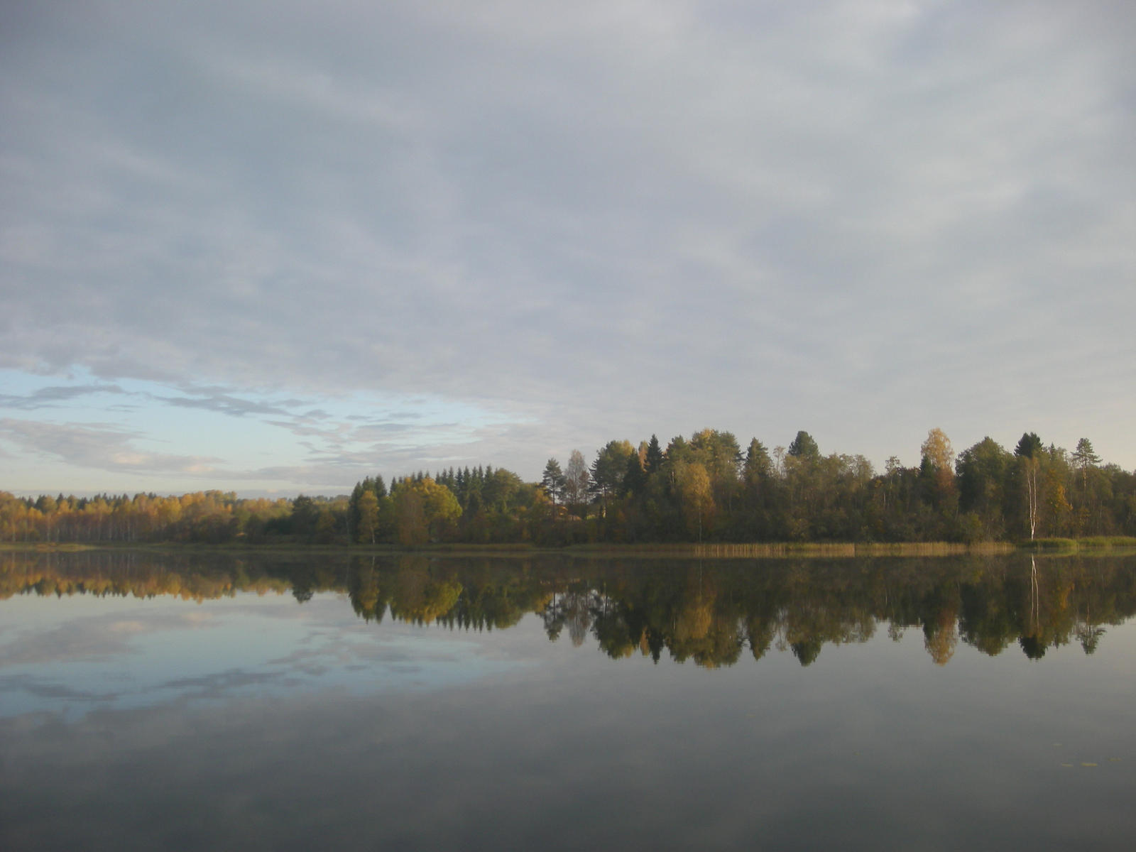 Reflection on a lake