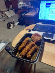  Chicken with cat photo bomber  by michelous