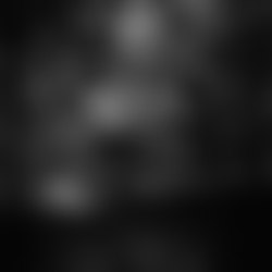 Dark